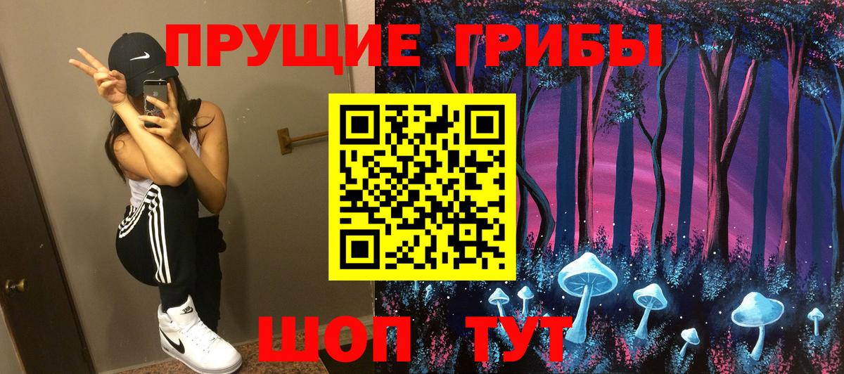 Галлюциногенные грибы мицелий  Галлюциногенные грибы мицелий  Заводоуковск  Вход с VPN 
