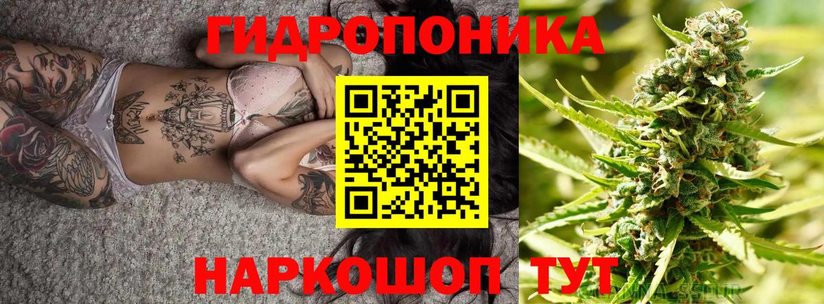 Бошки Шишки план Заводоуковск